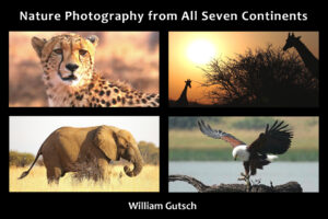 nature photography from all 7 continents